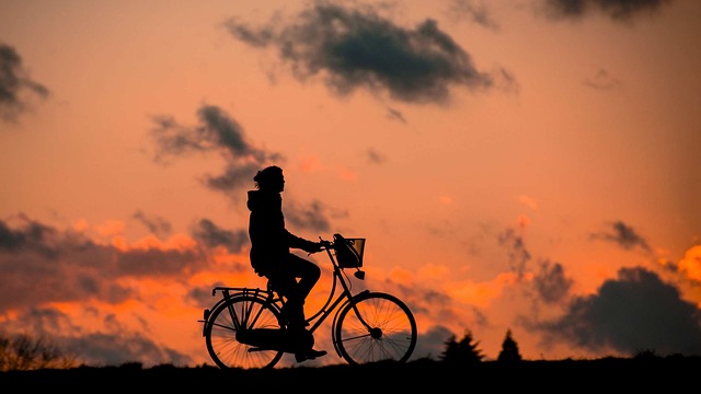 Tutto ciò che devi sapere su come scegliere la borsa da bici perfetta per te